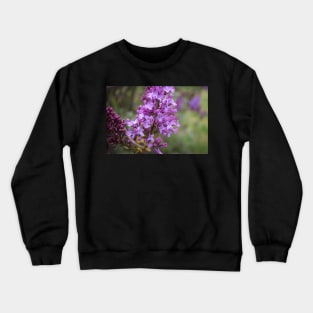 Purple Lilac Crewneck Sweatshirt